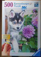 Puzzle Ravensburger 500 Teile - Hundewelpe Nordrhein-Westfalen - Hennef (Sieg) Vorschau