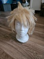 Cospay wigs Nordrhein-Westfalen - Mönchengladbach Vorschau