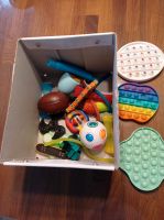 Fidget- Toys, 20 -teilig Nordrhein-Westfalen - Gronau (Westfalen) Vorschau