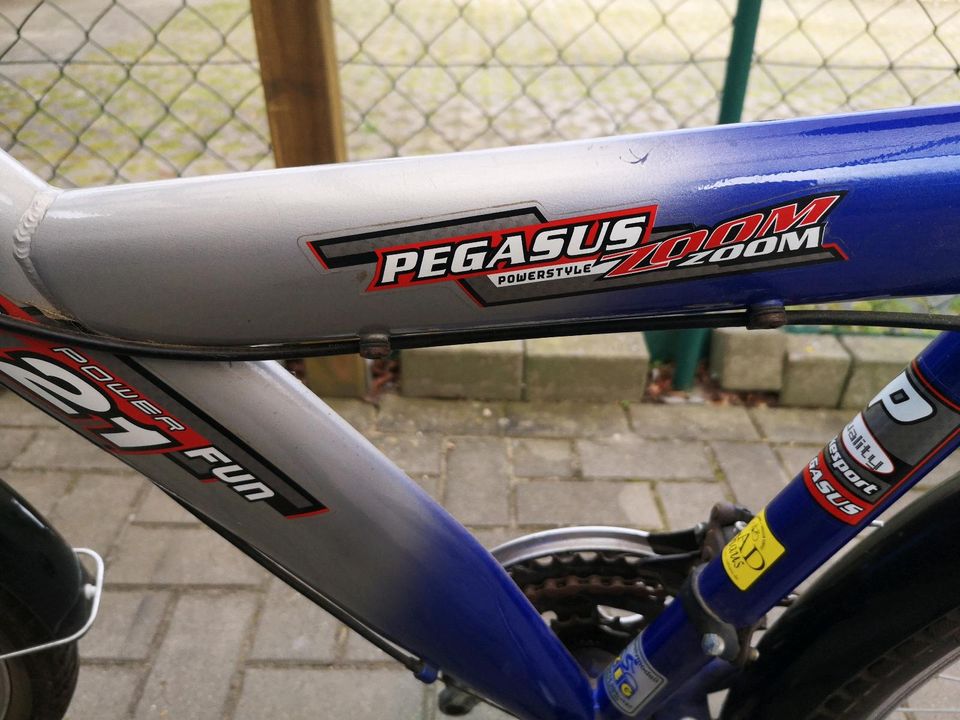 Fahrrad Gr. 25 von Pegasus in Mittenwalde