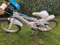 16 zoll fahrrad Baden-Württemberg - Seelbach Vorschau