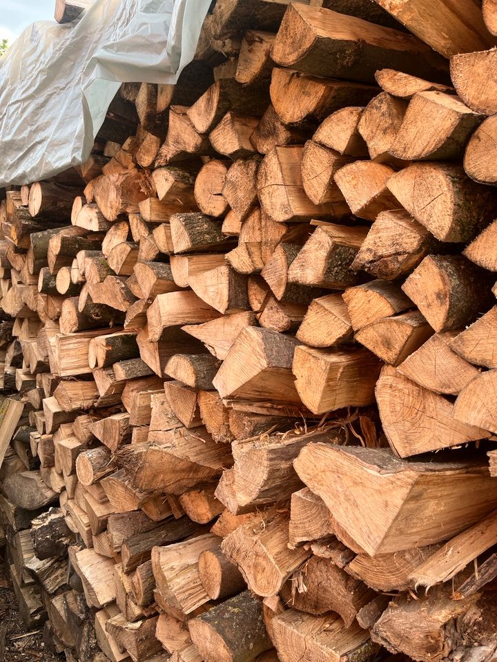 Holz  100€ in Herzberg am Harz