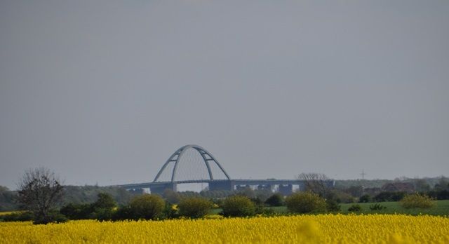 Urlaub auf dem Bauernhof (Ostseeinsel Fehmarn) in Fehmarn