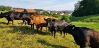 Premiumfleisch vom Angus-Weiderind Rindfleisch Baden-Württemberg - Ebersbach an der Fils Vorschau