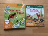 TING  PFERDE und PONYS & Im Wald Junior Buch ToP! Baden-Württemberg - Nordheim Vorschau