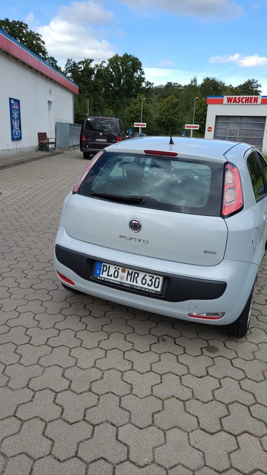 Fiat punto in Preetz