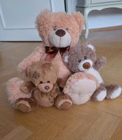 Teddys im Paket Dresden - Bühlau/Weißer Hirsch Vorschau