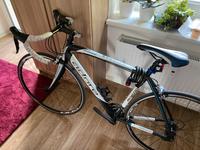 Adore Morzine Rennrad 50cm Brandenburg - Eberswalde Vorschau