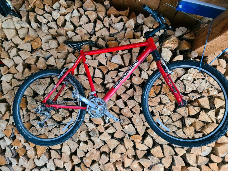 Cannondale CAAD 2 in Untergriesbach