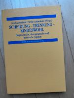 Buch „Scheidung…“ Niedersachsen - Meinersen Vorschau