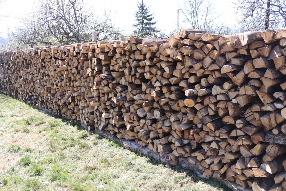 Brennholz / Feuerholz / Holz / Kaminholz in Freiburg im Breisgau