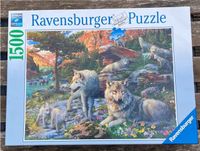 Ravensburger Puzzel 1500 Teile Innenstadt - Köln Altstadt Vorschau