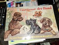 1969-Berliner Morgenpost-Unser Freund der Hund - Bayern - Veitshöchheim Vorschau