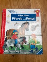 WISO?Weshalb?Warum? Alles über Pferde und Ponys Nordrhein-Westfalen - Neuss Vorschau