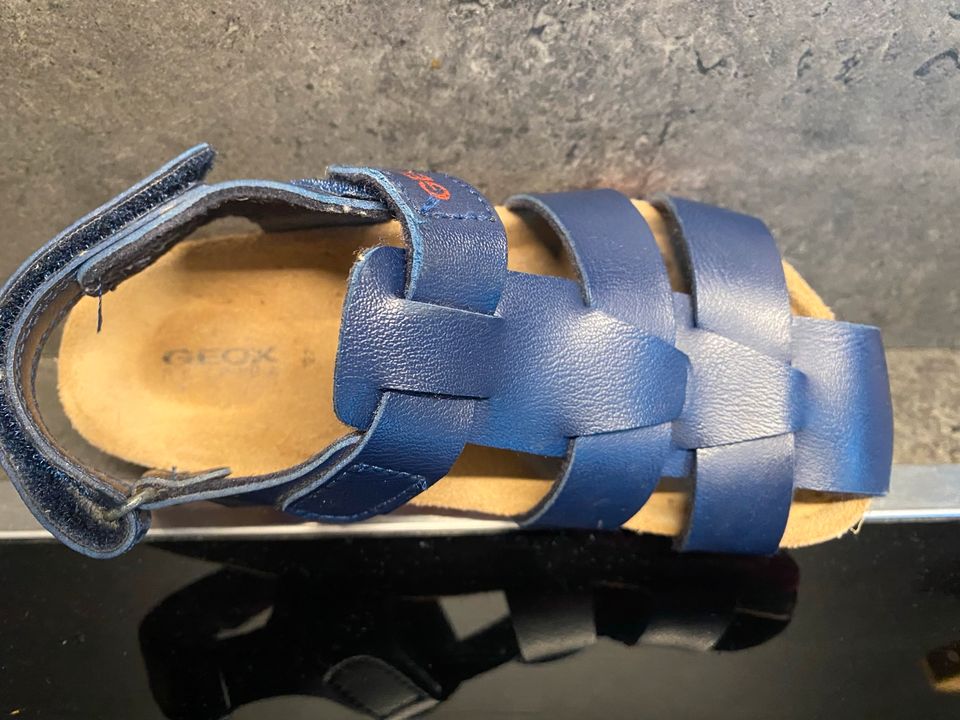 Geox Sandalen, Sommer, Schuhe,Blau, Kinder, Größe 26, top in Düsseldorf