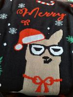 ...RAMA LAMA DINGDONG...WEIHNACHTSPULLI Niedersachsen - Jever Vorschau