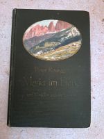Maria im Elend, Peter Rosegger, Altes antiquarisches Buch Sachsen-Anhalt - Merseburg Vorschau