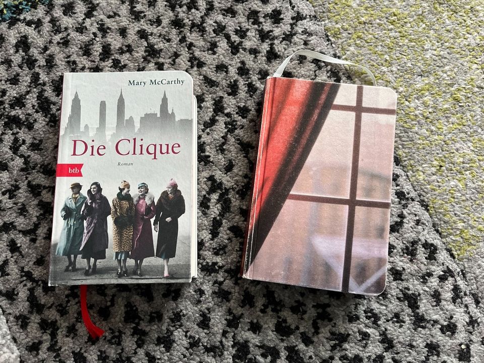 2 kleine Taschenbücher, btb und Fischer Taschenbuch in Nünchritz