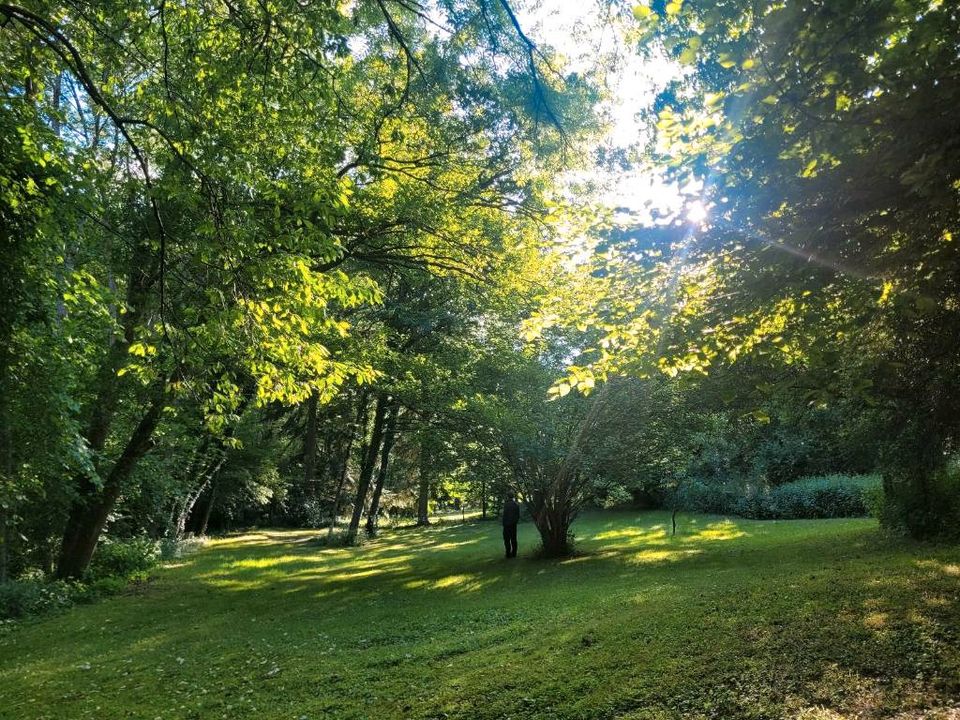 Idyllische Ferienwohnung, Natur pur, Rheinsteig in Sankt Goarshausen 