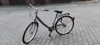 Fahrrad 28 Zoll Damen Hessen - Borken Vorschau