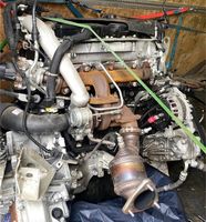 Motor Fiat Ducato 2.3 EURO5 F1AE3481D 130PS KOMPLETT Sachsen - Torgau Vorschau