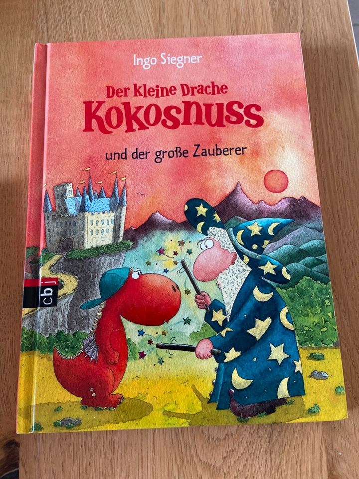 Drache Kokosnuss & die wilden Piraten Kinderbuch in Düren