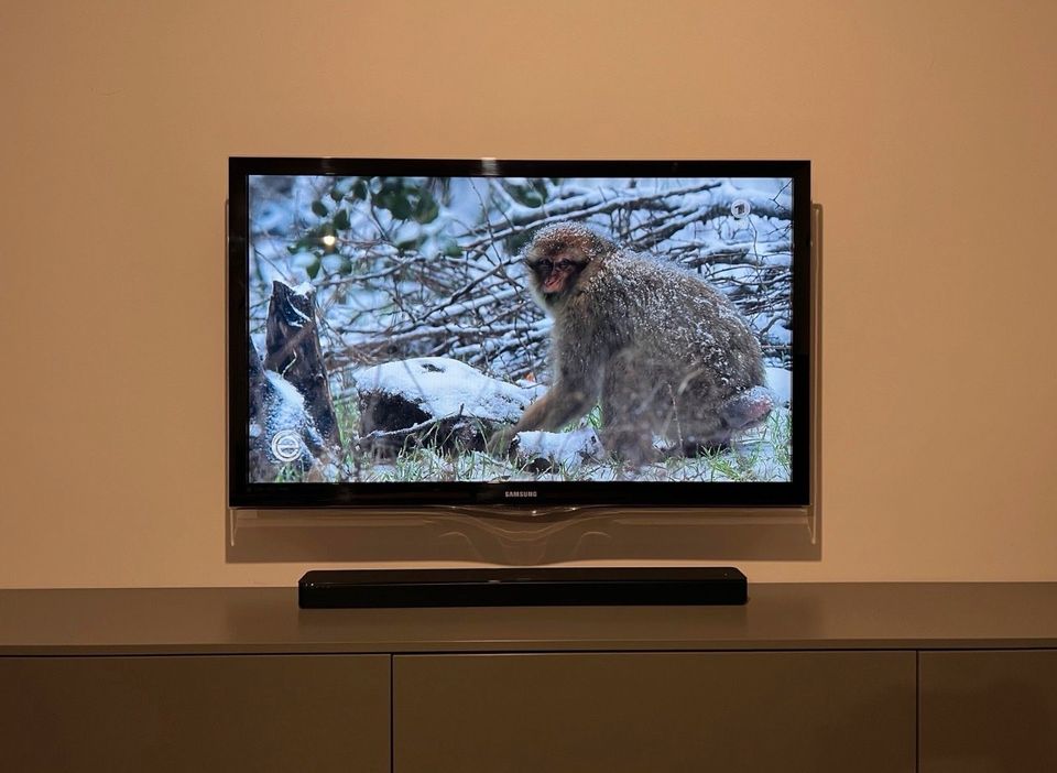 Samsung TV Full HD 55 Zoll LE55C650 in Scheeßel