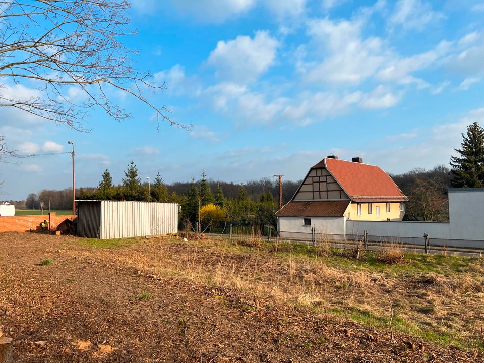 Baugrundstück: Verwirklichen Sie Ihren Traum vom Eigenheim auf 708m² zum unschlagbaren Preis! in Bad Lausick