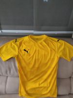 Fußballtrikot Puma / Gr. XS Nordrhein-Westfalen - Kirchhundem Vorschau