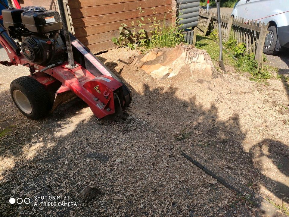 Wurzelfräsen Stubbenfräsen Baumstumpffräsen Baumfällung in Georgsmarienhütte