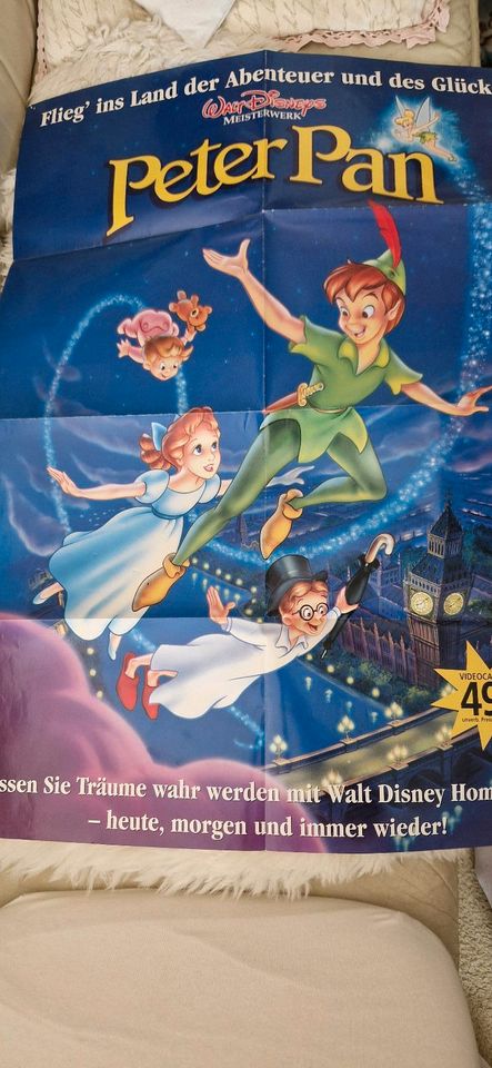 Peter Pan Filmplakate in Wiesbaden