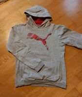 Sweatshirt grau/pink, Gr. 176, Puma Baden-Württemberg - Nehren Vorschau