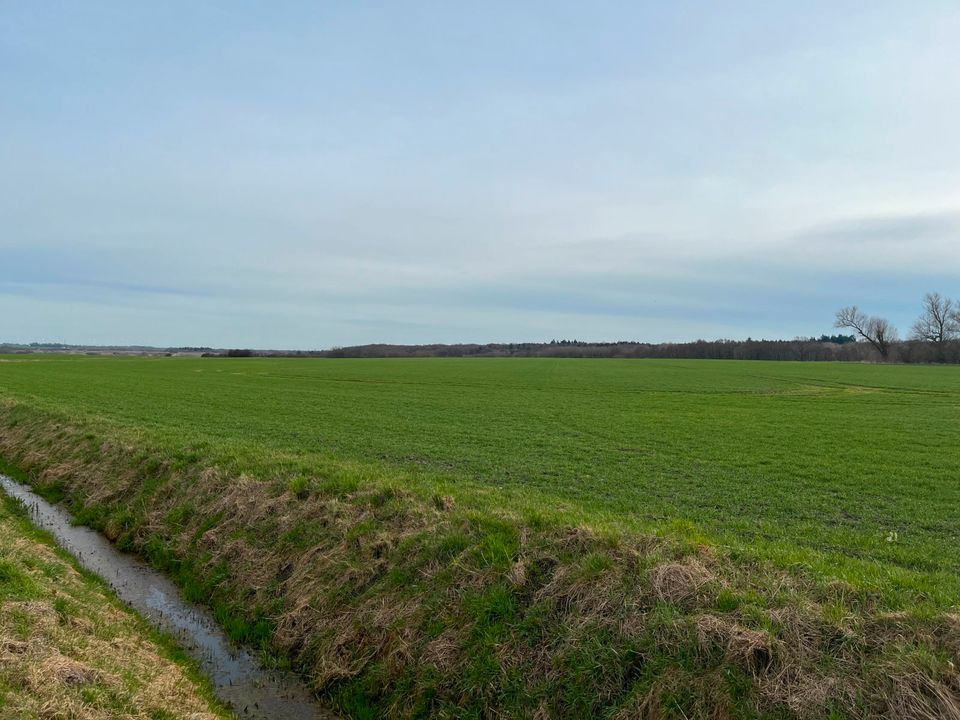 14 ha Landwirtschaftsfläche Acker in MV, LK Vorpommern-Greifswald! in Dobbertin