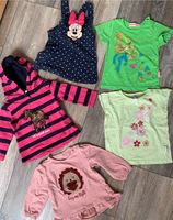 Baby Pullover , Größe 74/80, zusammen 5 Euro Nordrhein-Westfalen - Heek Vorschau