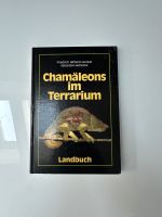 Chamäleons im Terrarium Hessen - Eltville Vorschau