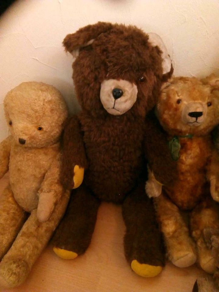 Alte Bären Teddys Teddybär Antik in Faulbach