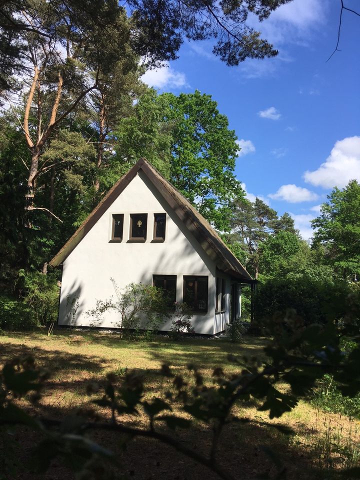 Strandnahes 4 Personen Ferienhaus am Wald in Glowe in Glowe Rügen