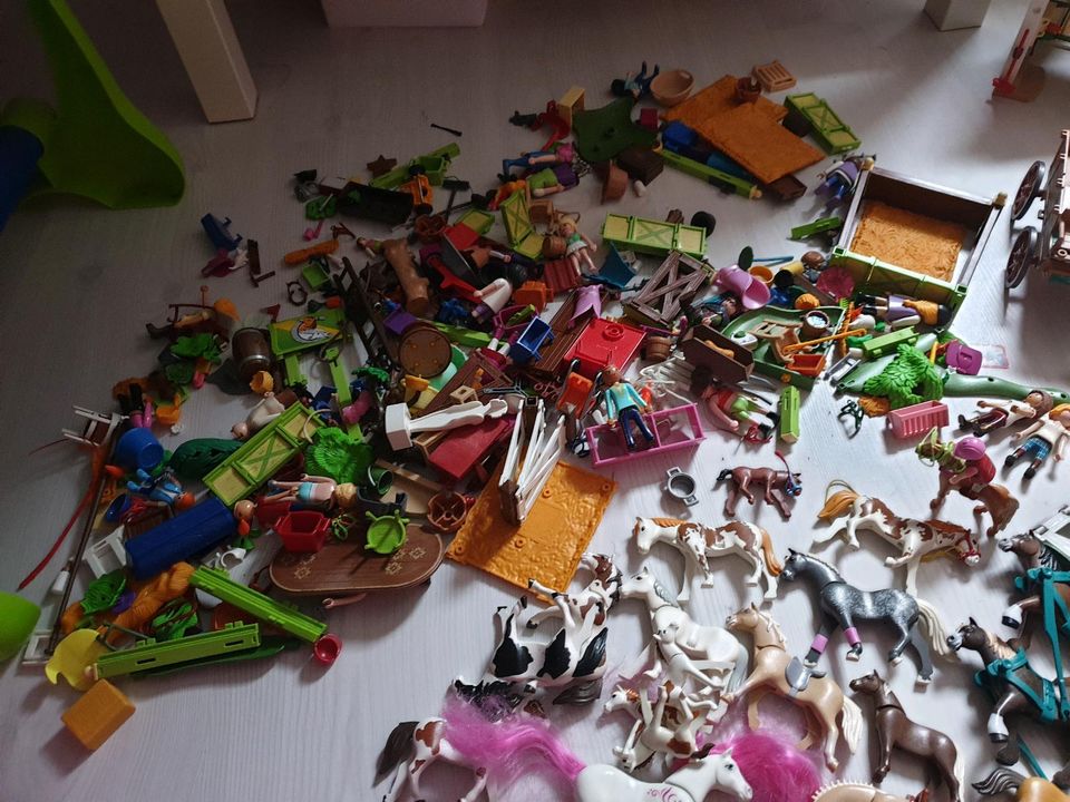 Playmobil Pferde/Spirit/Bauernhof für alles 50 Euro in Dortmund