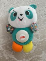 Fisher Price  Panda Thüringen - Zeulenroda Vorschau