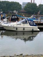 Sealine Conti Familie 285 / Motorboot Niedersachsen - Stuhr Vorschau