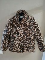 Leo Jacke Stradivarius S/M Bonn - Dottendorf Vorschau