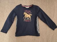 Mädchen Sweatshirt Gr. 116/122 blau Pferde Baden-Württemberg - Erbach Vorschau