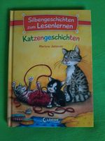 Löwe Silbengeschichten zum Lesenlernen Katzengeschichten Lesebuch Bayern - Jesenwang Vorschau