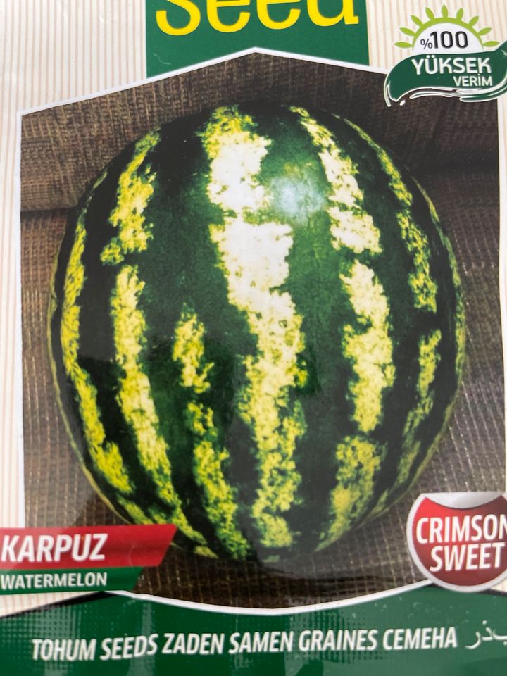 Şeker Karpuz Tohumu-Wassermelonen Samen in Köln