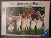 Ravensburger Puzzle – Katzenkinder  - 1500 Teile Hessen - Schmitten Vorschau