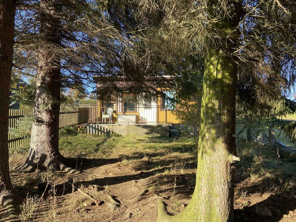 Feriengrundstück in Schönfeld mit Blick auf das Erzgebirge! in Thermalbad Wiesenbad