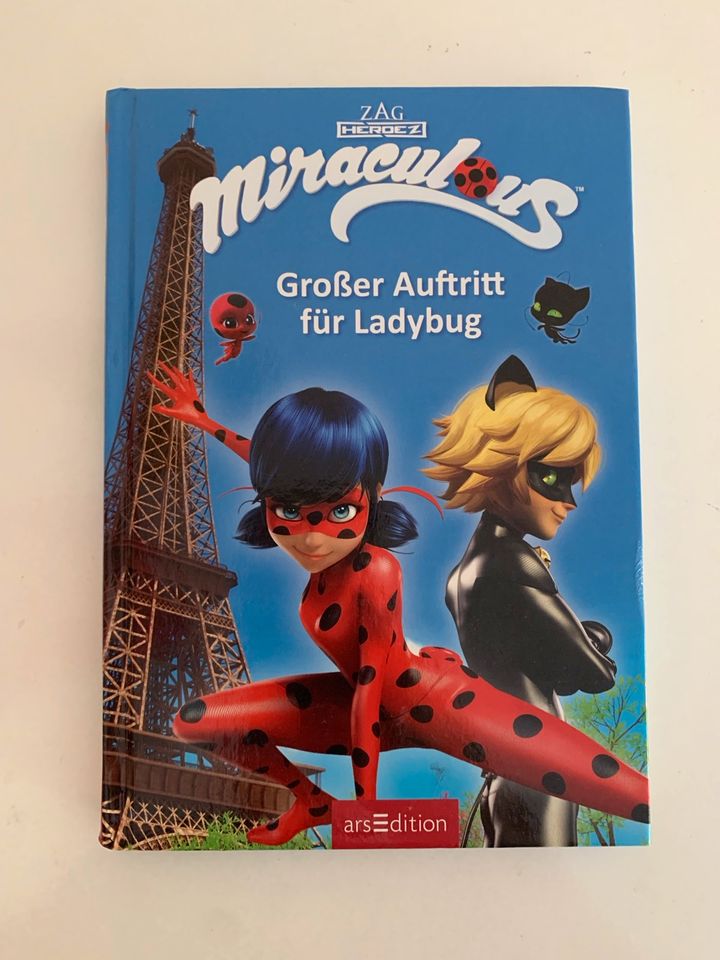 Miraculous Ladybug Buch Großer Auftritt für Ladybug in Lüneburg