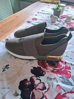 Schuhe Grün. ungetragen 39 Hessen - Kassel Vorschau