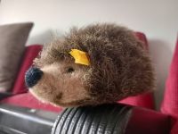 Steiff Stofftier Sammlerstück Igel Knopf im Ohr 070501 - Vintage Niedersachsen - Salzgitter Vorschau