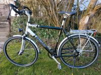 Fahrrad Painter Lizzard 28 Zoll Nordrhein-Westfalen - Solingen Vorschau